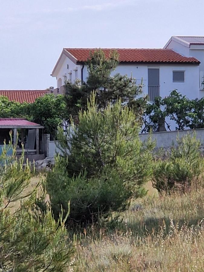 Apartments Ema Vir Kültér fotó